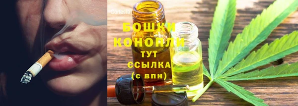 mdpv Богородицк
