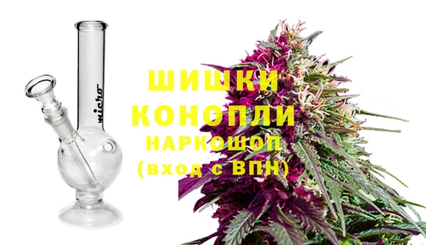ПСИЛОЦИБИНОВЫЕ ГРИБЫ Бородино