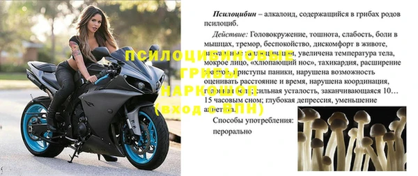 mdpv Богородицк